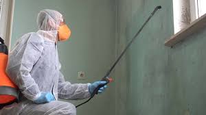  Barron, WI Mold Removal & Remediation Pros