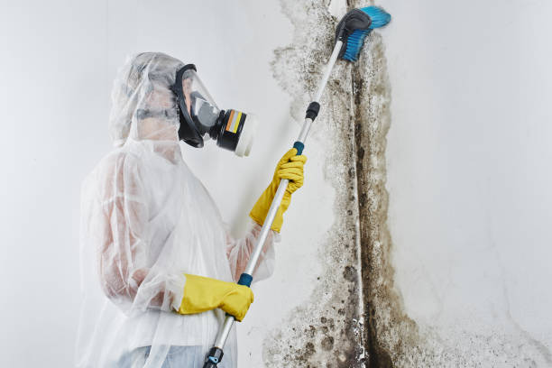 Mold Remediation for Rental Properties in Barron, WI