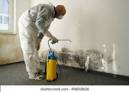 Best Mold Prevention Services  in Barron, WI